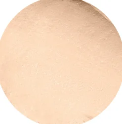 Discount CAIA Cosmetics BB-STICK