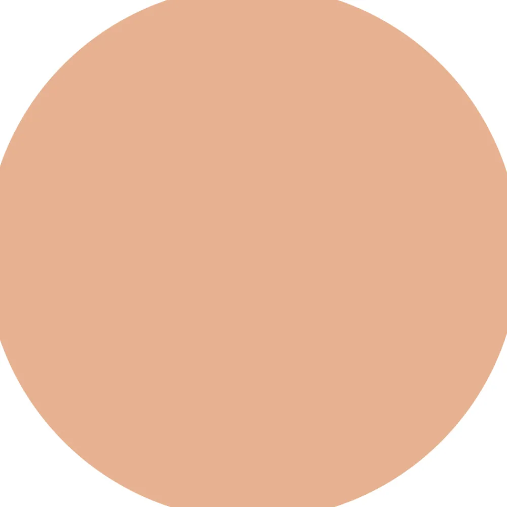New CAIA Cosmetics COVER UP CONCEALER PENCIL