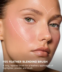 Sale CAIA Cosmetics FEATHER BLENDING BRUSH F05