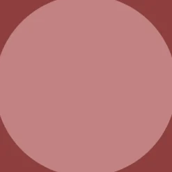 New CAIA Cosmetics LIP PENCIL