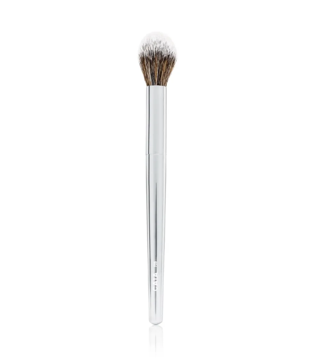 Clearance CAIA Cosmetics POINTED HIGHLIGHTER BRUSH F09