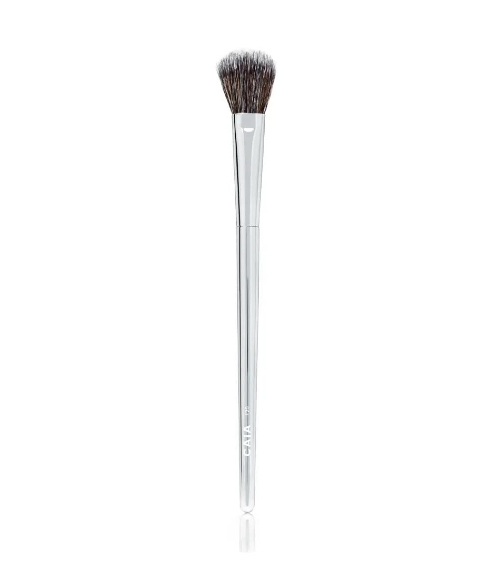 Best CAIA Cosmetics PRECISION SETTING BRUSH F20